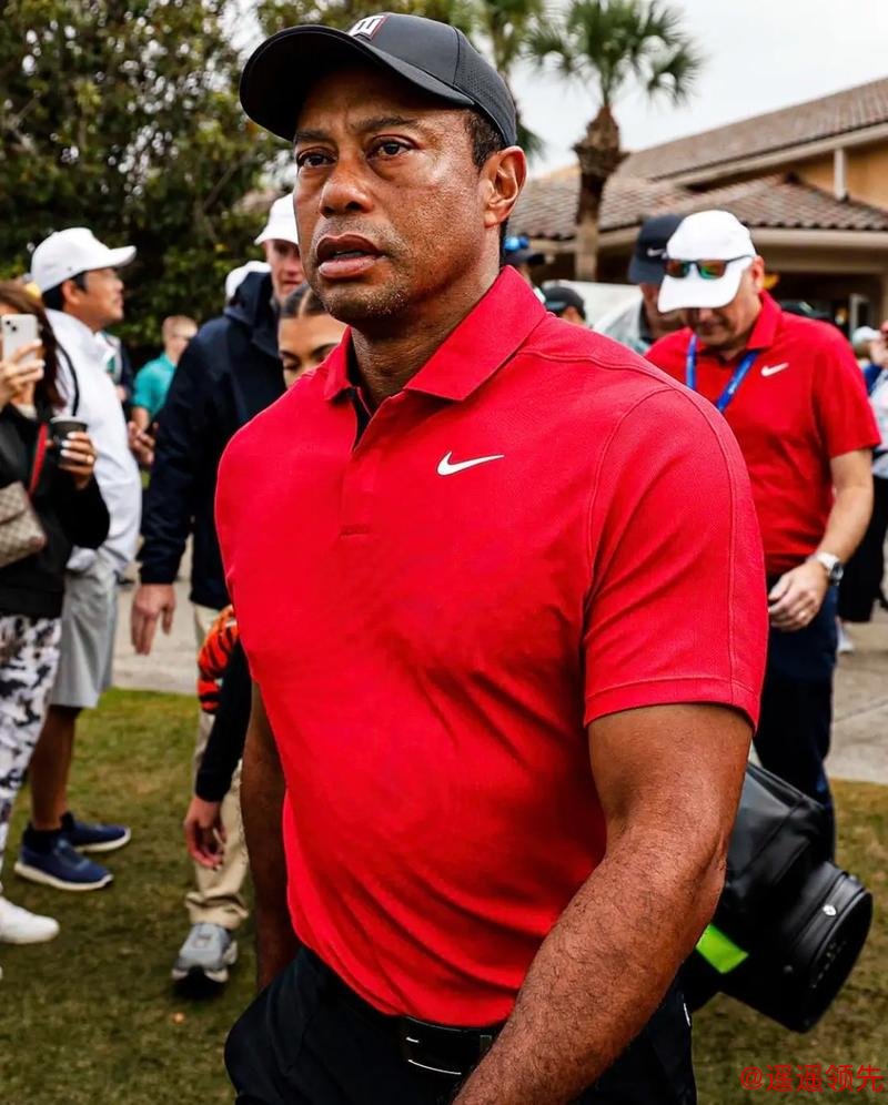 庆祝伍兹50岁生日：那些被人津津乐道30年的击球