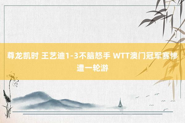 尊龙凯时 王艺迪1-3不脑怒手 WTT澳门冠军赛惨遭一轮游